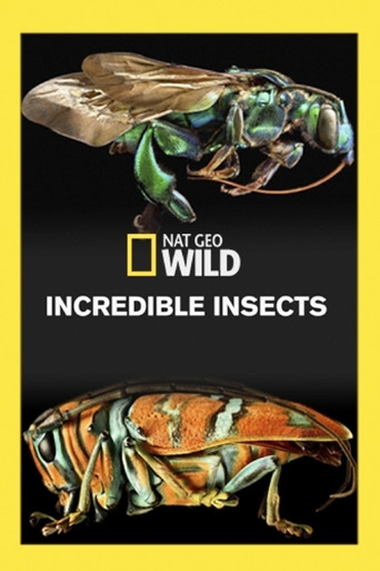 Incredible Bugs