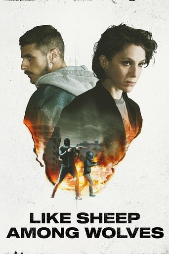 Come pecore in mezzo ai lupi