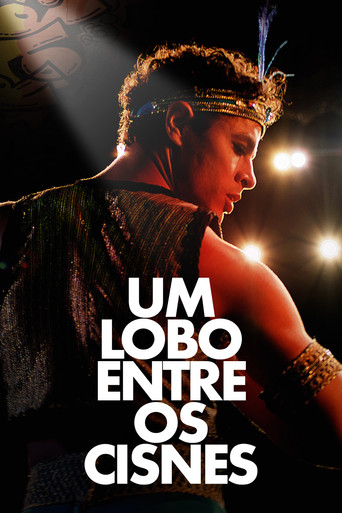 Um Lobo Entre os Cisnes