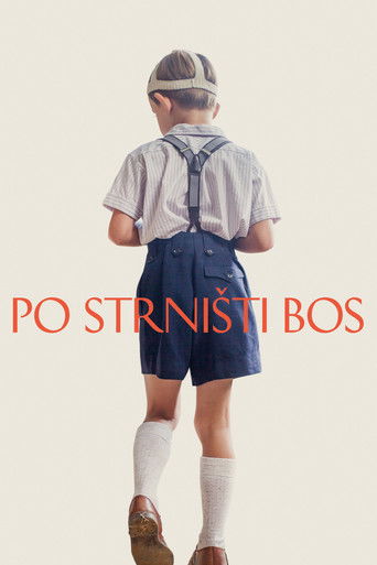 Po strnisti bos