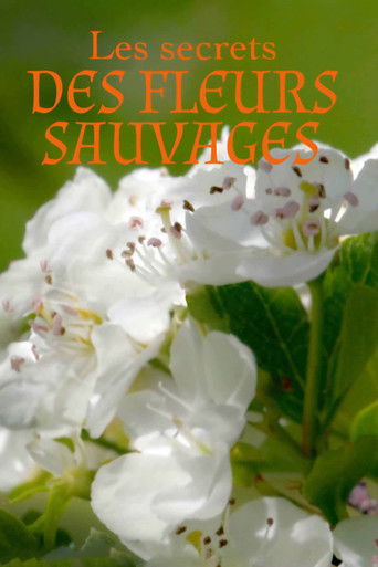 Les secrets des fleurs sauvages