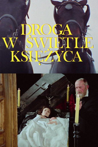 Droga w swietle ksiezyca