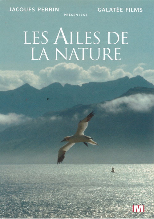 Les ailes de la nature