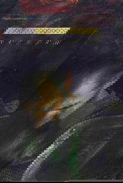 Descubriendo Conquistadores Adventum