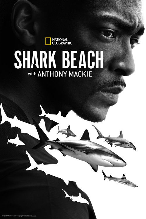 Shark Beach with Anthony Mackie. Gulf Coast