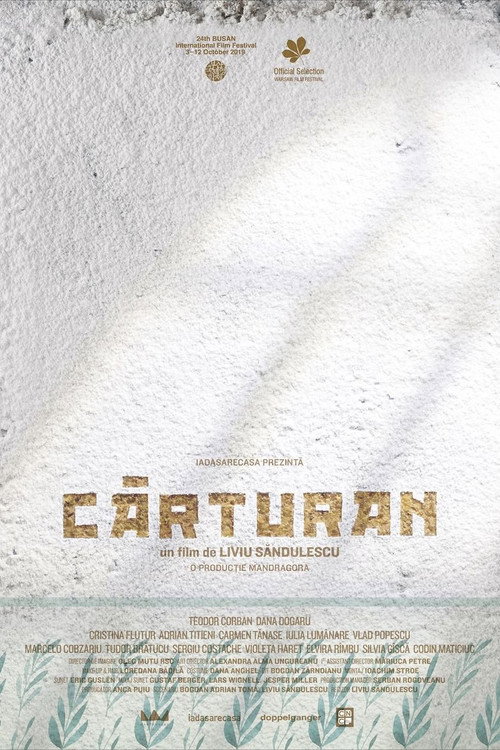 Carturan