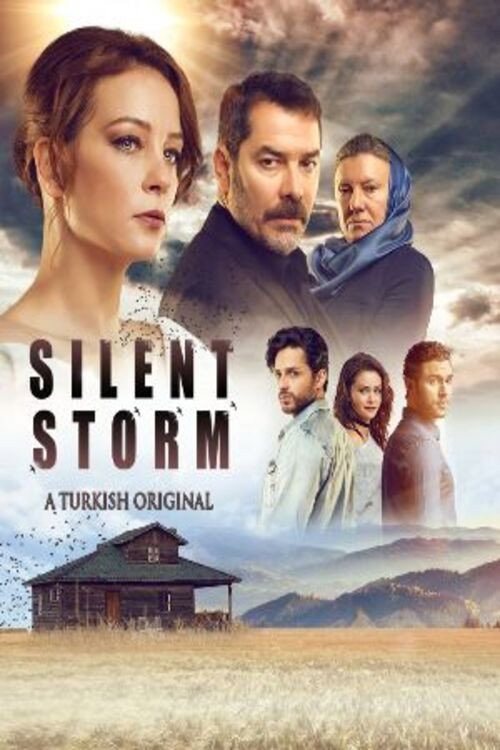 Шторм ласточки