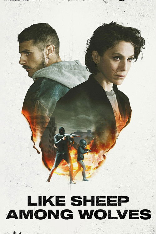 Come pecore in mezzo ai lupi