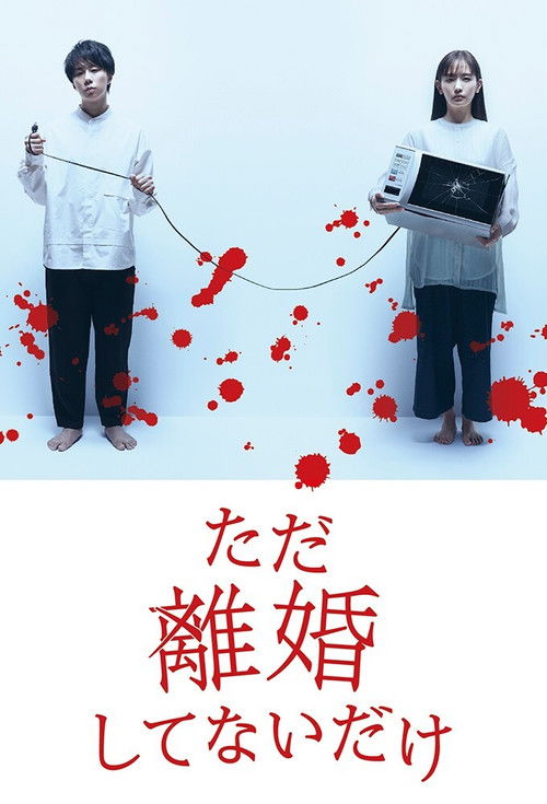 Tada rikon-shitenai dake