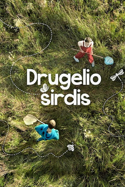 Drugelio sirdis