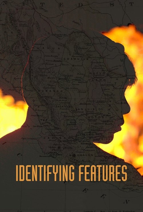 Без особых примет