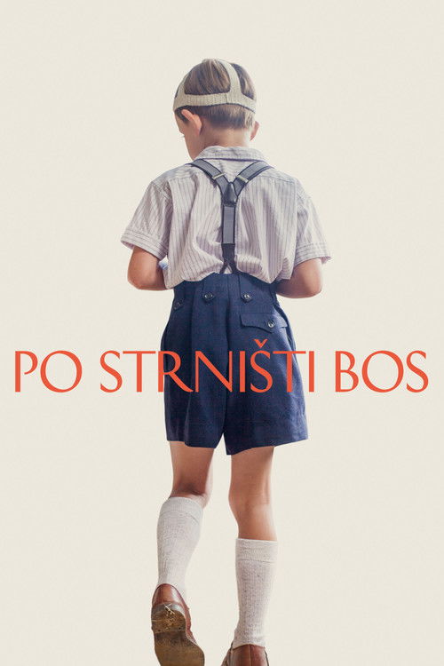 Po strnisti bos