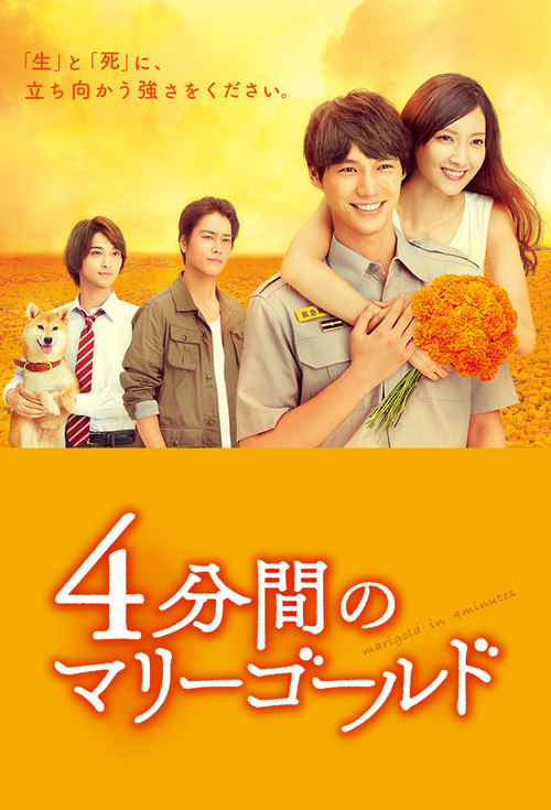 Marigold in 4minutes