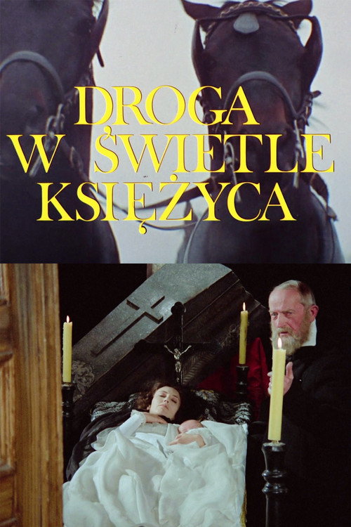 Droga w swietle ksiezyca