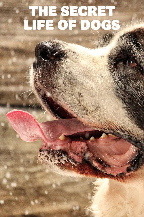 Secret Life of Dogs