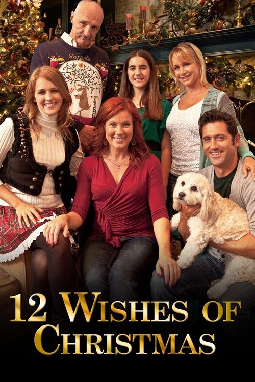 The Twelve Wishes of Christmas