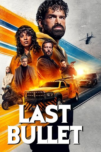 Шальная пуля 3