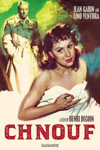 Облава на блатных