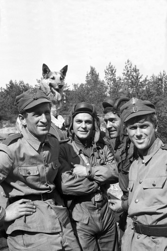 Четыре танкиста и собака