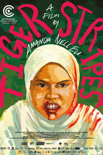 Тигриные полосы