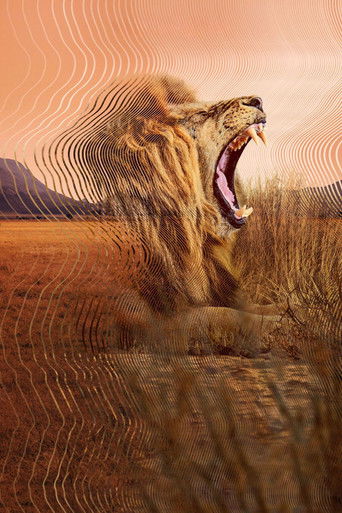 Тайный мир звука с Дэвидом Аттенборо