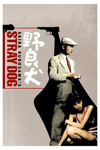 Бездомный пёс