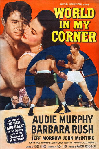 Мир в моем углу