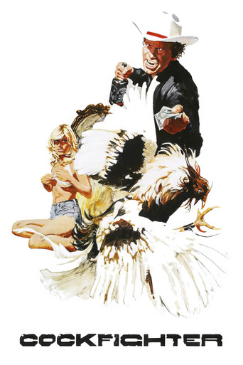 Бойцовский петух