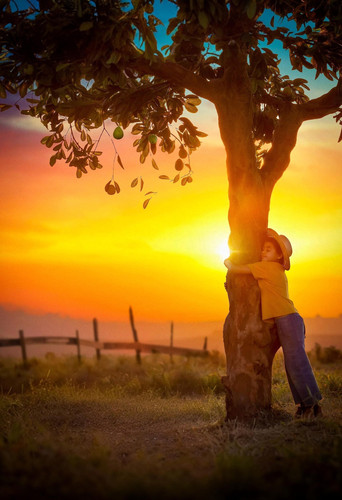 Чак Билли и чудесное дерево гуавы