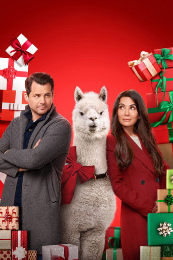 Второй шанс на рождество