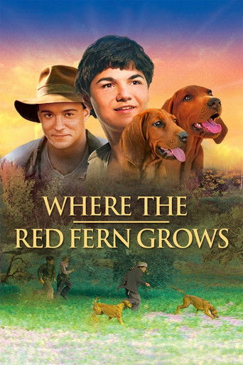 Цветок Красного папоротника