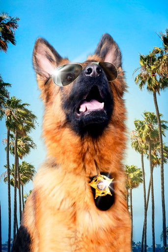 Честь мундира