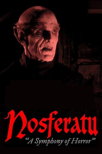 Носферату