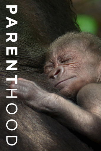 Родительство