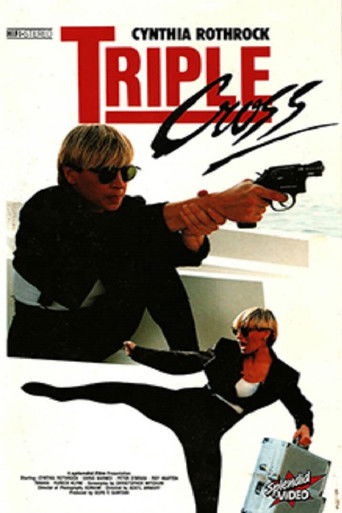 Ангел ярости