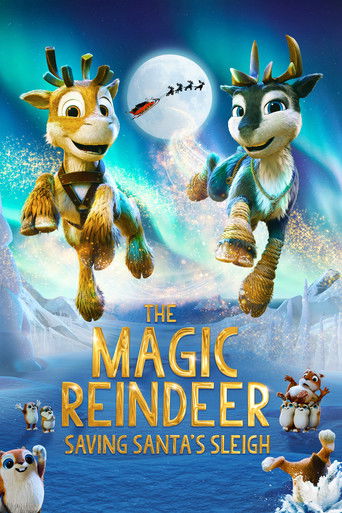 Нико: За Северным сиянием