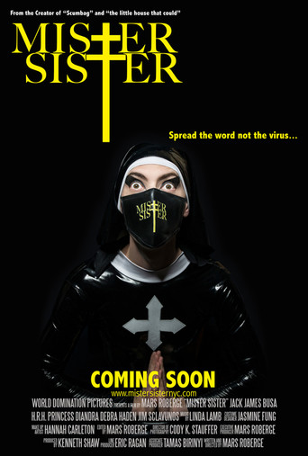 Мистер Систер