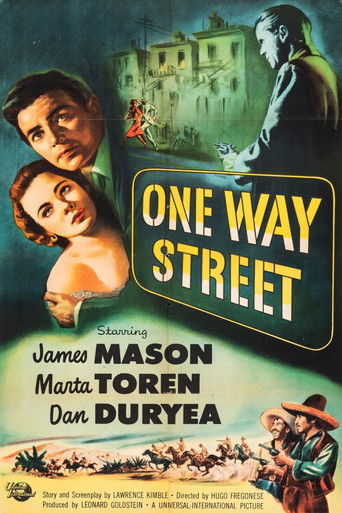 Дорога с односторонним движением