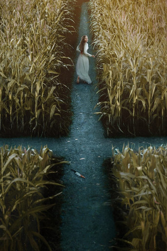 Дьявол в Огайо