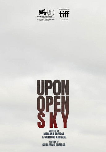 Открытое небо