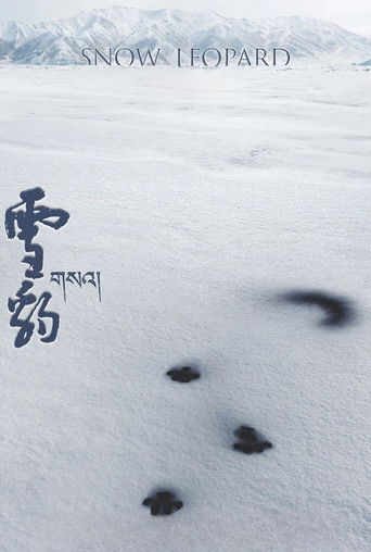 Снежный барс