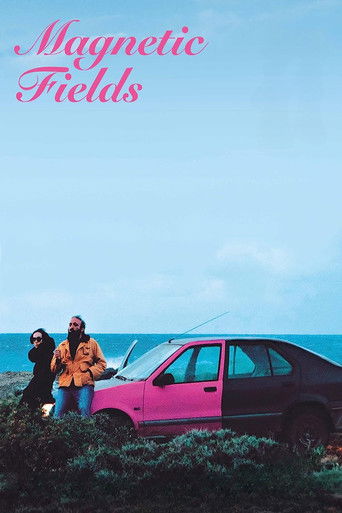 Магнитные поля