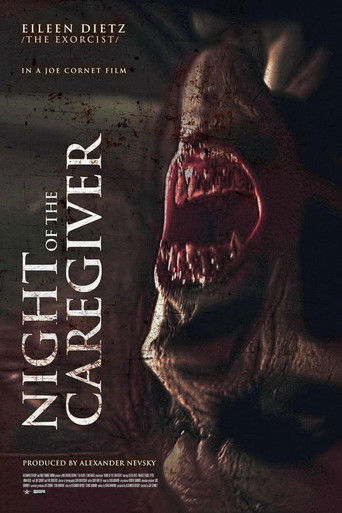 Ночь сиделки