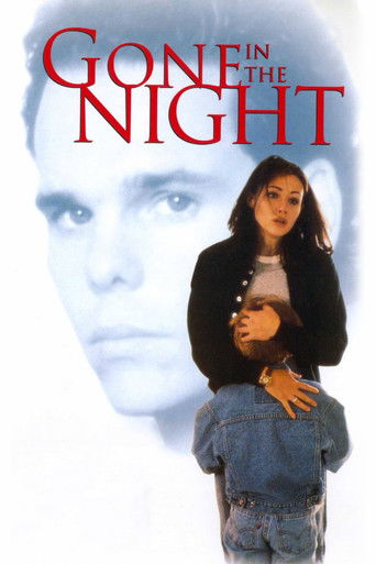 Пропавшая в ночи