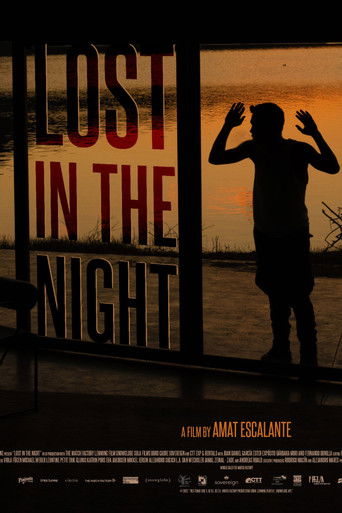 Потерянный в ночи