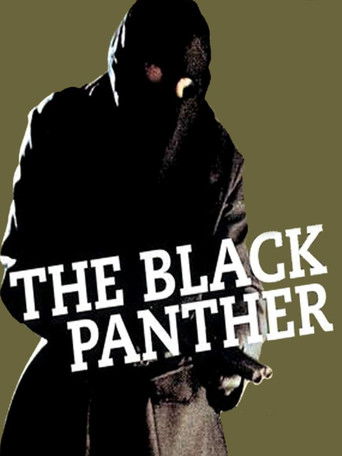 Чёрная пантера