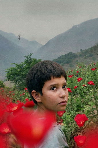 Огненная ночь