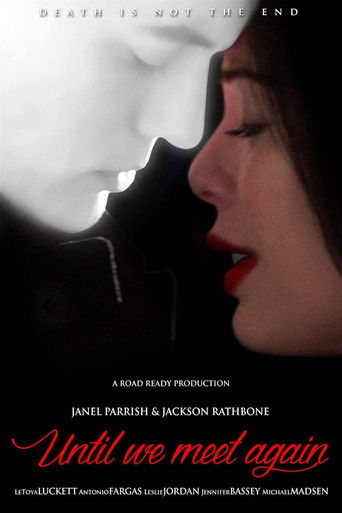 Пока мы не встретимся снова