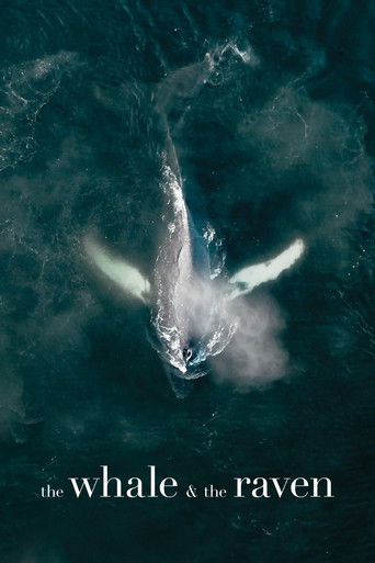 Кит и ворон