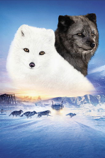 Кина и Юк: Пушистые приключения